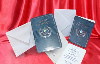 Egehan Sünnet Davetiye 1219