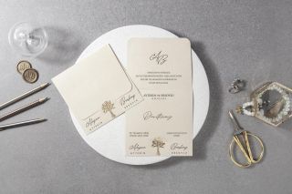 Fenomen Davetiye 7107